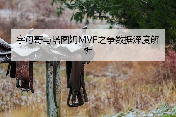 字母哥与塔图姆MVP之争数据深度解析